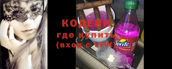мдпв Елизово