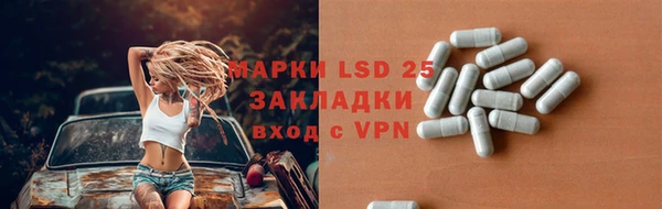 мдпв Елизово