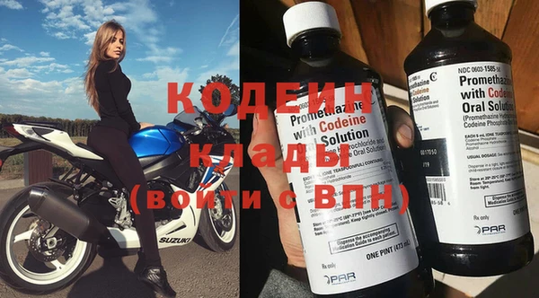 мдпв Елизово