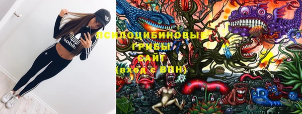 не бодяженный Ельня