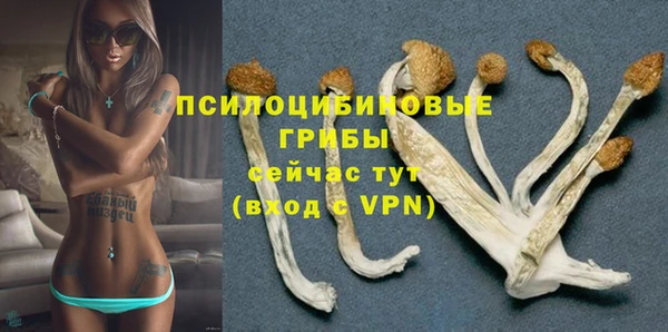 мдпв Елизово