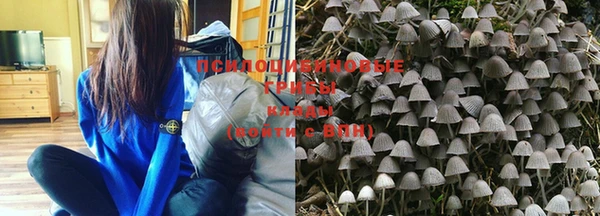 не бодяженный Ельня