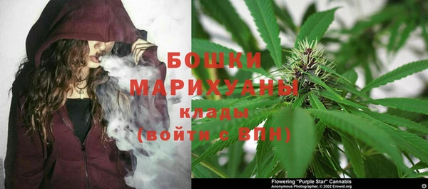 не бодяженный Ельня