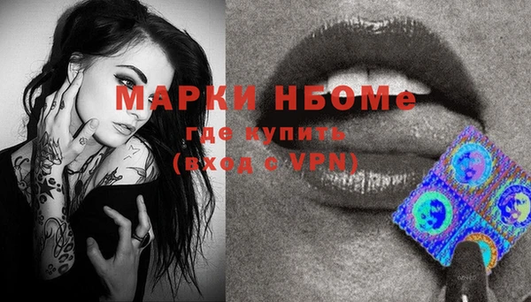 мдпв Елизово