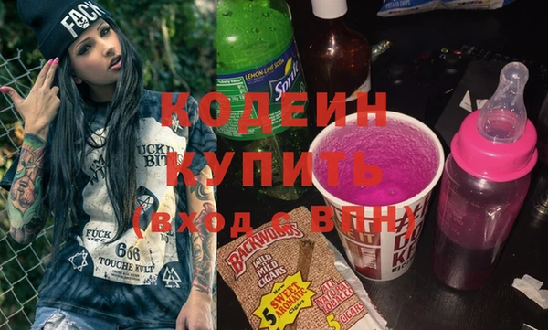 мдпв Елизово