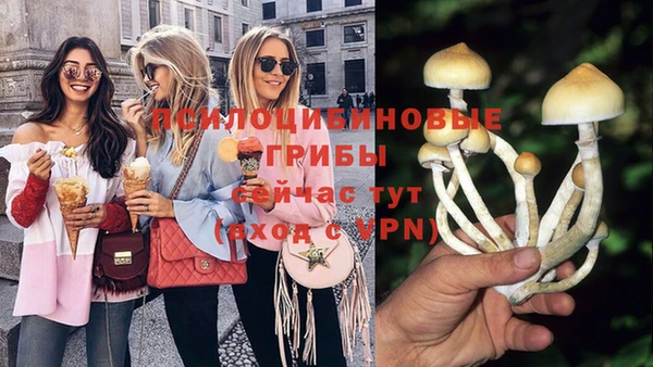 тгк Елабуга