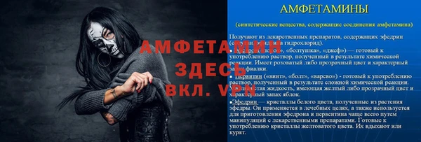 мдпв Елизово