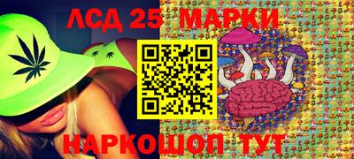 твердый Будённовск