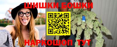 твердый Будённовск