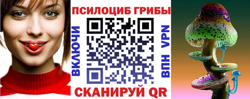 где можно купить   Заринск  ссылка на мегу tor  Псилоцибиновые грибы мицелий 