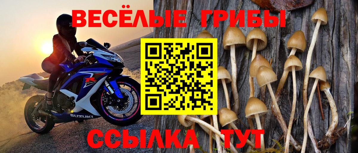 Псилоцибиновые грибы прущие грибы Заринск