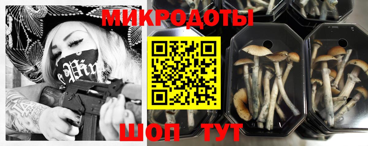 Псилоцибиновые грибы Cubensis  Вход с VPN  Заринск 